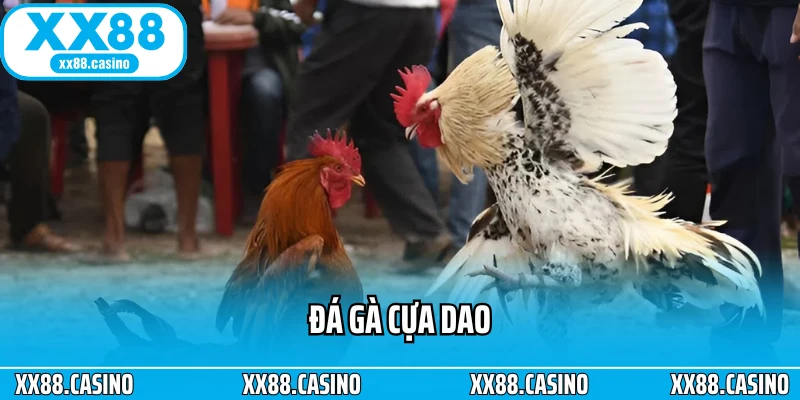 Ảnh đại diện Đá Gà Cựa Dao